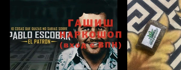 дживик Снежногорск