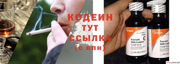 дживик Снежногорск
