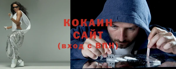дживик Снежногорск