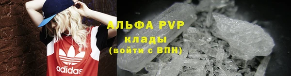 дживик Снежногорск
