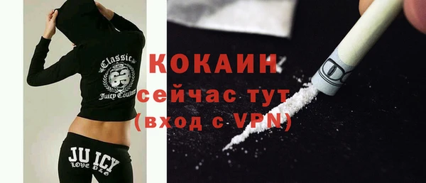 дживик Снежногорск