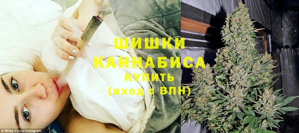 spice Кадников