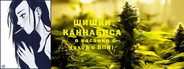 дмт Снежинск